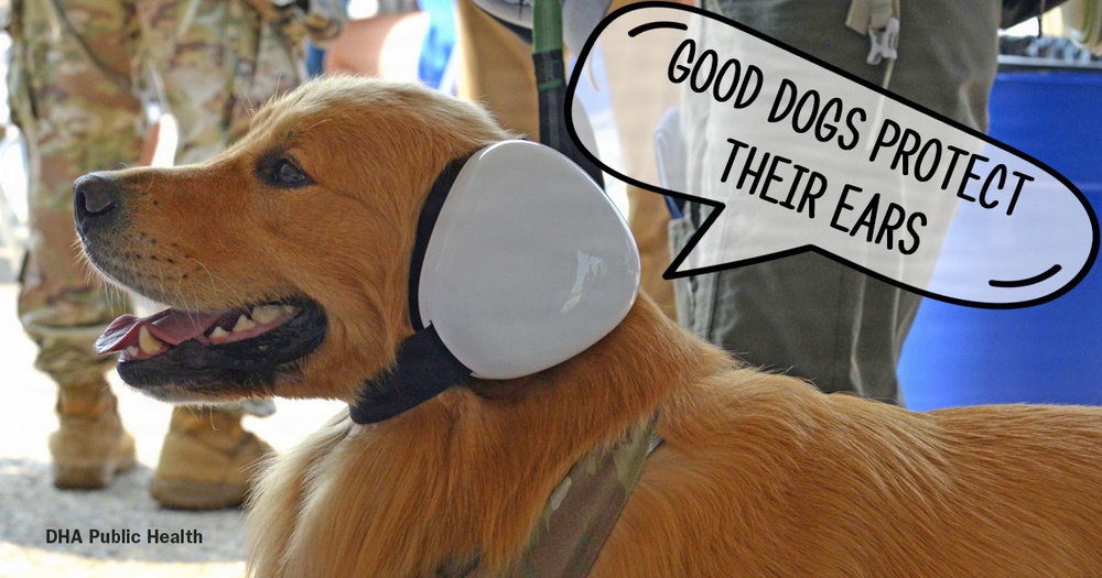 Tinnitus Awareness - Repeated Exposures