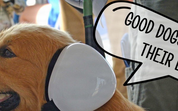 Tinnitus Awareness - Repeated Exposures