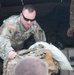 VNG Soldiers, Airmen head to Finland for annual training