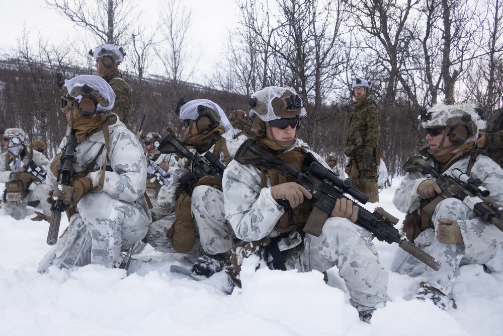 CORE26 | U.S. Marines Demonstrate Squad Attacks during Arctic Exercise
