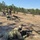 South Carolina’s 1222nd Engineers conduct explosive annual training