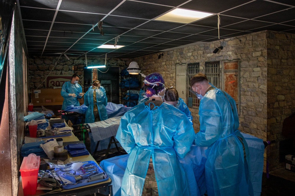 First Year Graduate Veterinarian Education officers conduct surgeries during Military Working Dog Week 2026