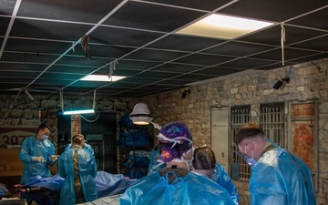 First Year Graduate Veterinarian Education officers conduct surgeries during Military Working Dog Week 2026