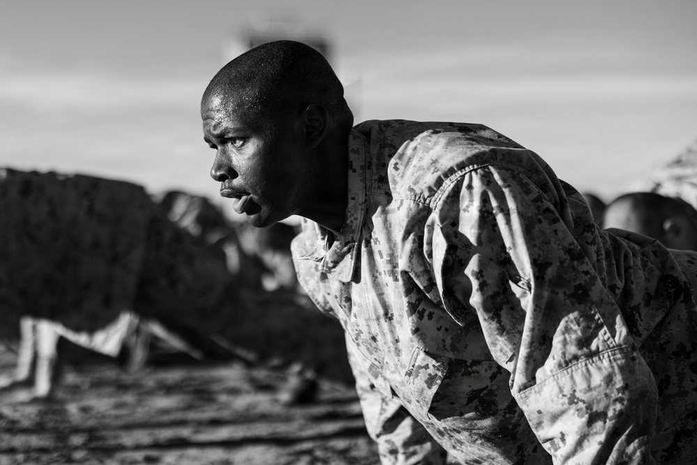 Mike Company Confidence Course