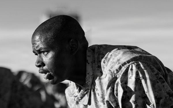 Mike Company Confidence Course