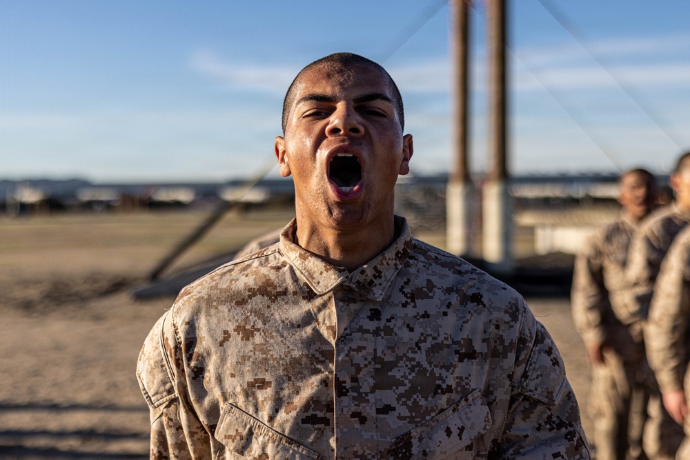 Mike Company Confidence Course