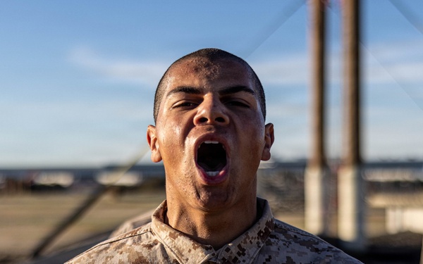 Mike Company Confidence Course