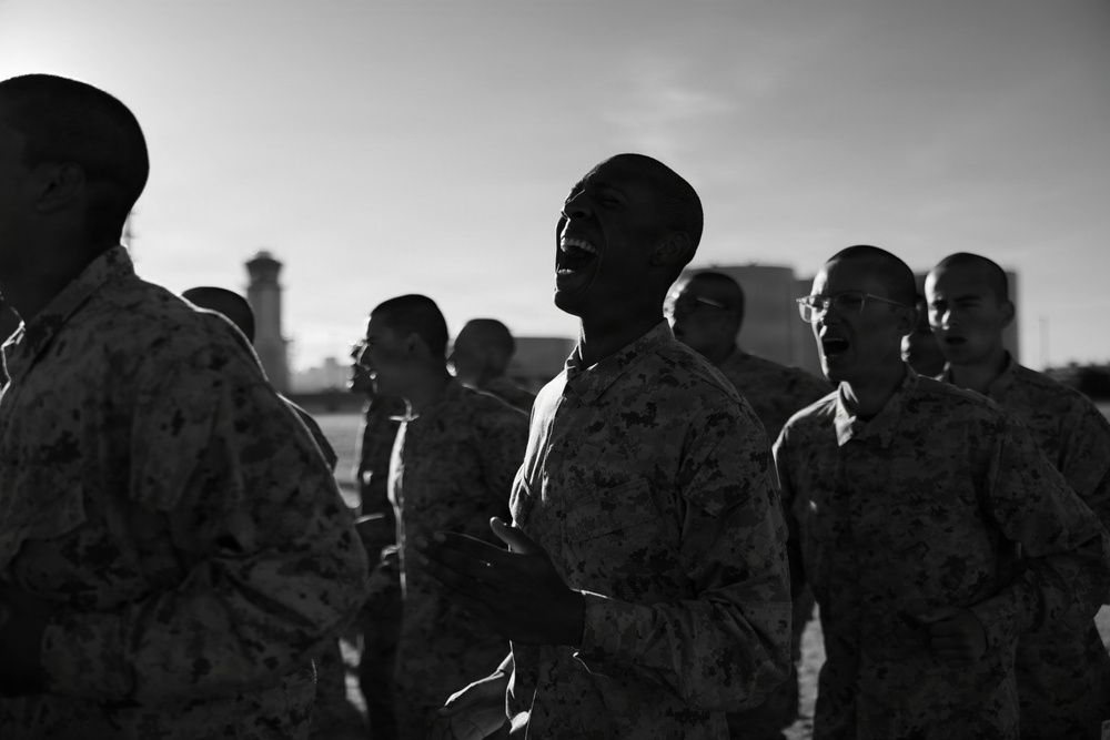 Mike Company Confidence Course