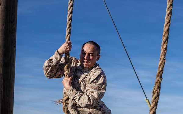 Mike Company Confidence Course