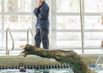 South Carolina Best Warrior Competition Day 3