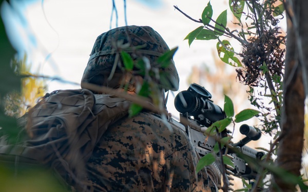 U.S. Marines load MMSP on CH-53E Super Stallions for MCCRE and Conduct Forward COC Operations