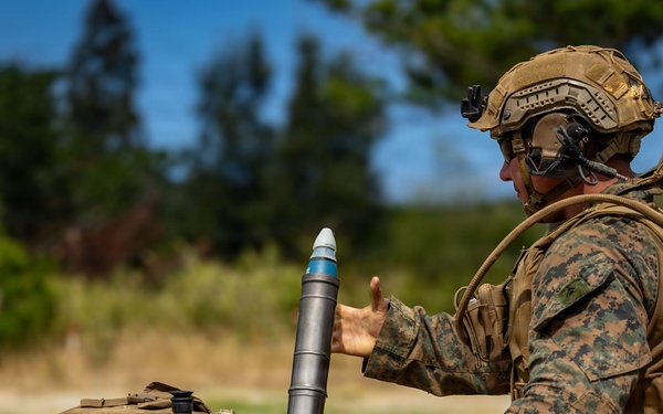 5th Air Naval Gunfire Liaison Company and 2nd Battalion, 7th Marines, conduct mortar range