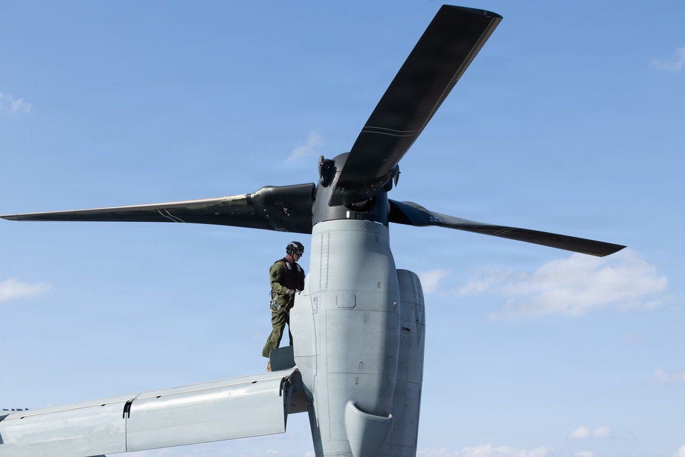 31st MEU | Flight Ops