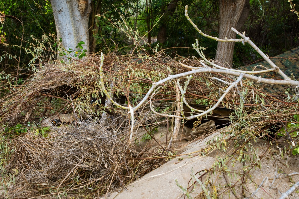 Exercise Cobra Gold 2026 Counter Landing Operation
