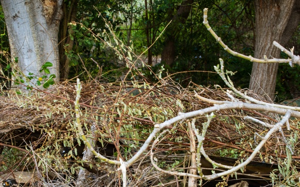Exercise Cobra Gold 2026 Counter Landing Operation