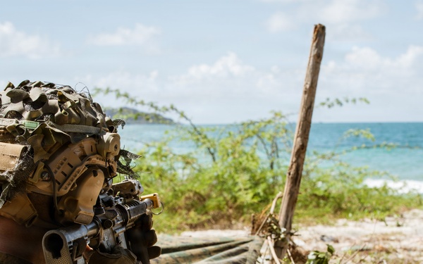 Exercise Cobra Gold 2026 Counter Landing Operation