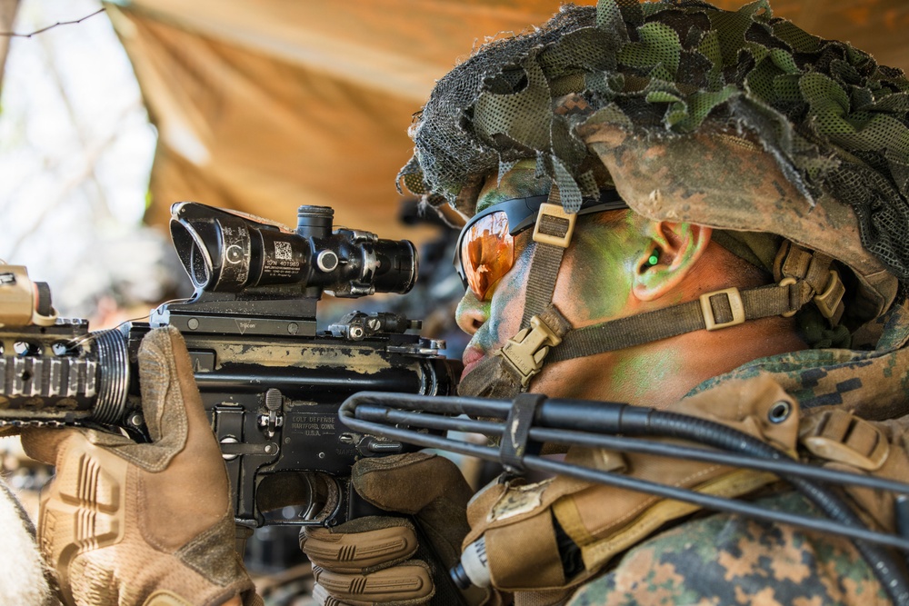 Exercise Cobra Gold 2026 Counter Landing Operation