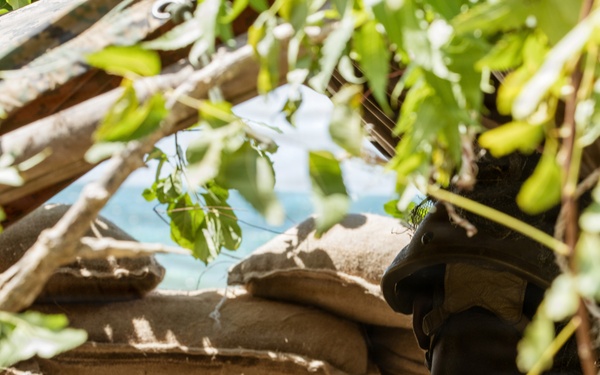 Exercise Cobra Gold 2026 Counter Landing Operation