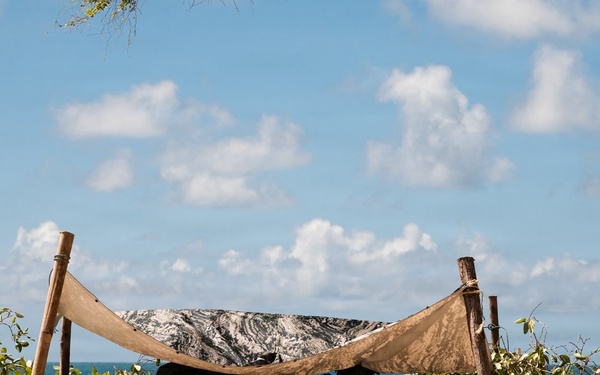 Exercise Cobra Gold 2026 Counter Landing Defense