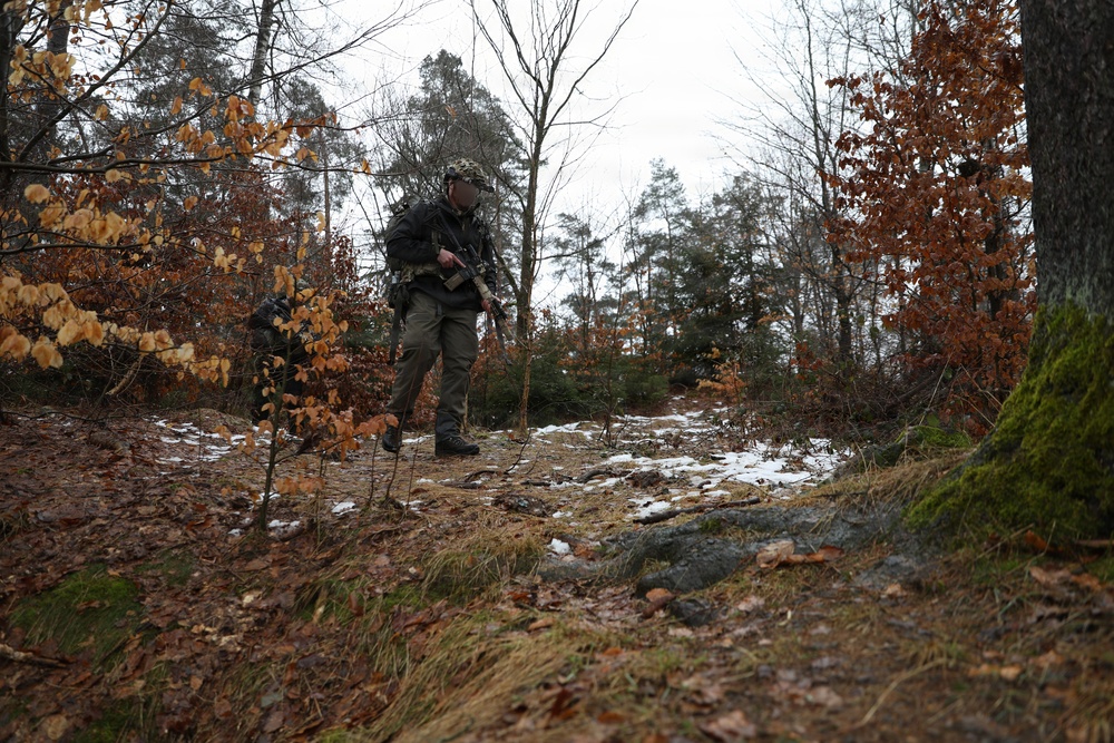 Exercise Deep Strike