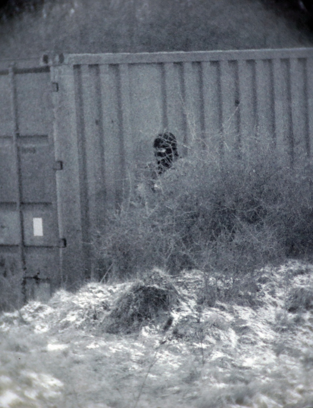 Exercise Deep Strike