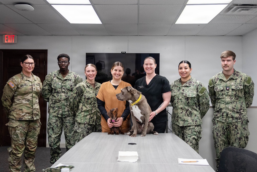We Keep the Four-Pawed Warfighter in the Fight: Cherry Point Sailors Train with Army Veterinary Specialists