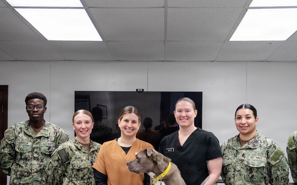 We Keep the Four-Pawed Warfighter in the Fight: Cherry Point Sailors Train with Army Veterinary Specialists
