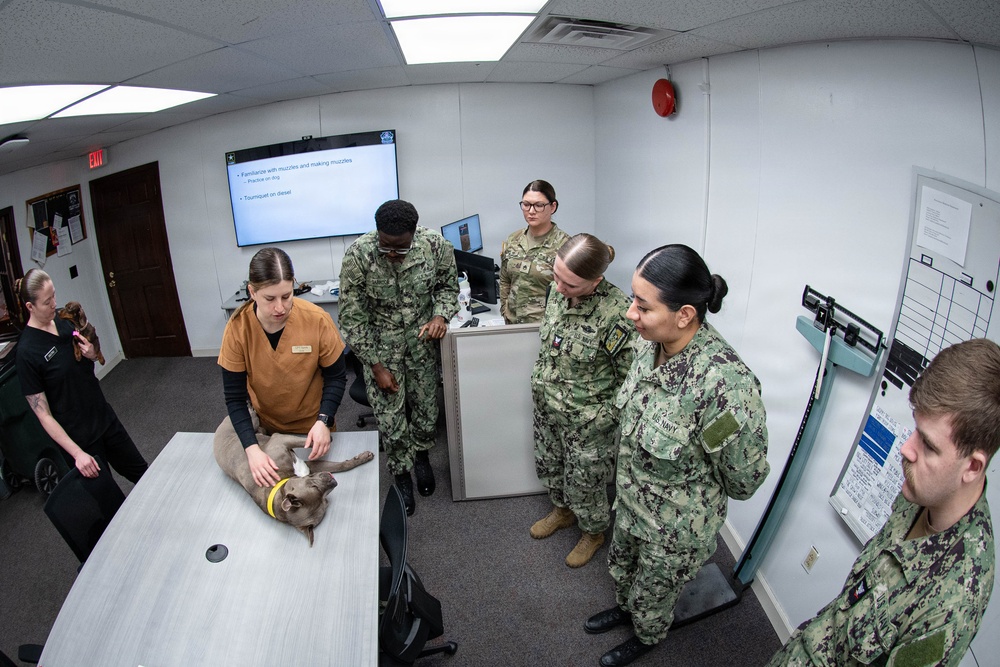 We Keep the Four-Pawed Warfighter in the Fight: Cherry Point Sailors Train with Army Veterinary Specialists