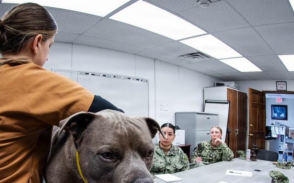 We Keep the Four-Pawed Warfighter in the Fight: Cherry Point Sailors Train with Army Veterinary Specialists