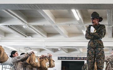 Golf Company Pick-Up