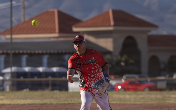 Torch Week's Softball Championship