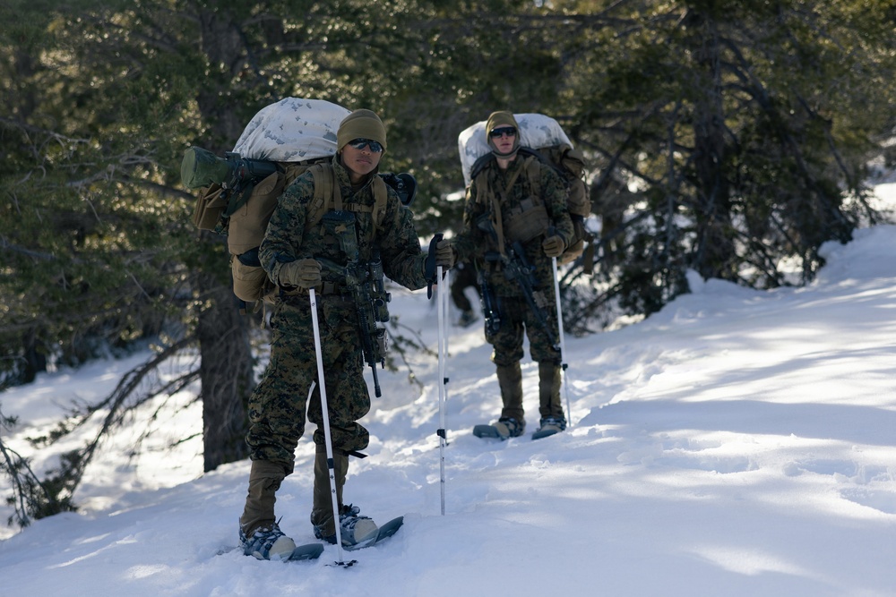 U.S. Marines with 2nd Bn., 4th Marines conduct an ambush during MTX 1-26
