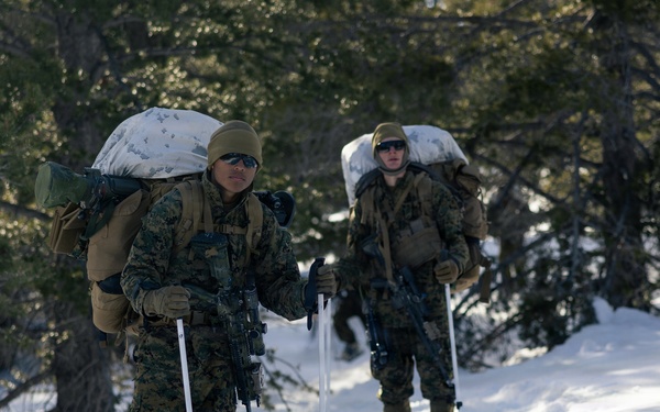 U.S. Marines with 2nd Bn., 4th Marines conduct an ambush during MTX 1-26