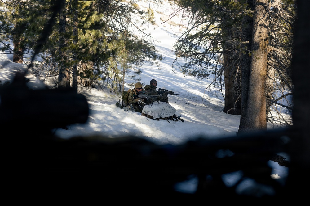 U.S. Marines with 2nd Bn., 4th Marines conduct an ambush during MTX 1-26