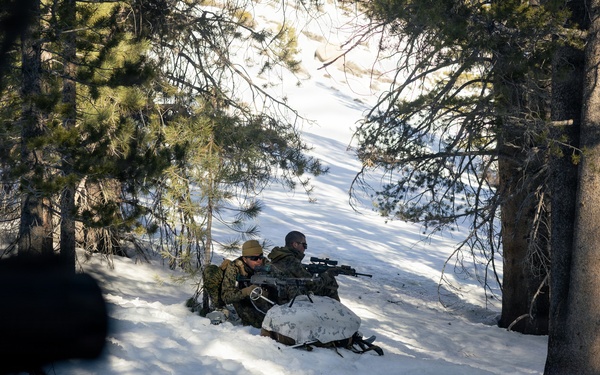 U.S. Marines with 2nd Bn., 4th Marines conduct an ambush during MTX 1-26