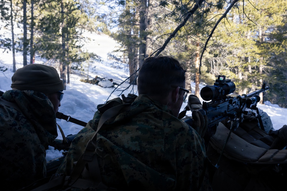U.S. Marines with 2nd Bn., 4th Marines conduct an ambush during MTX 1-26