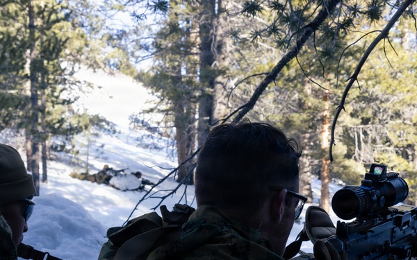U.S. Marines with 2nd Bn., 4th Marines conduct an ambush during MTX 1-26