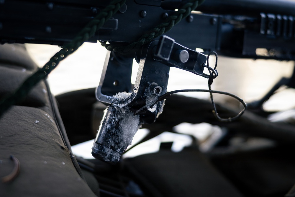 U.S. Marines with 2nd Bn., 4th Marines conduct an ambush during MTX 1-26