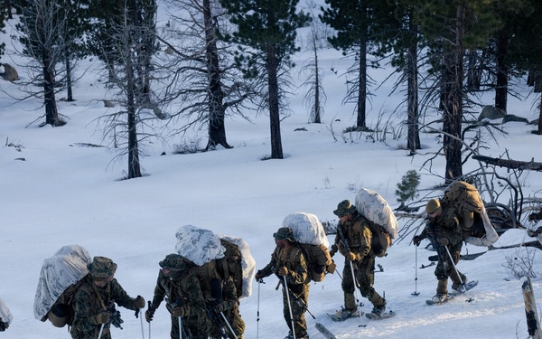 U.S. Marines with 2nd Bn., 4th Marines conduct an ambush during MTX 1-26