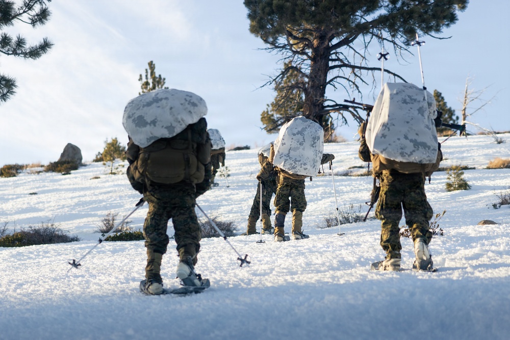U.S. Marines with 2nd Bn., 4th Marines conduct an ambush during MTX 1-26