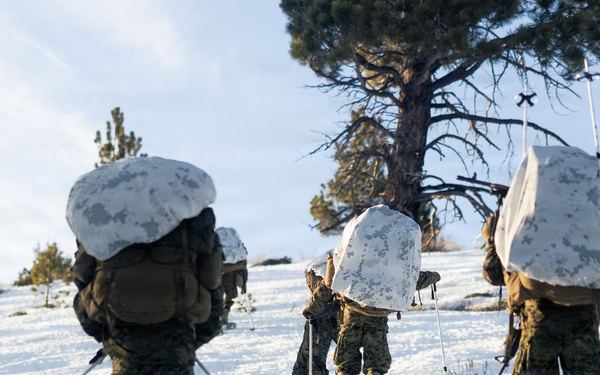 U.S. Marines with 2nd Bn., 4th Marines conduct an ambush during MTX 1-26