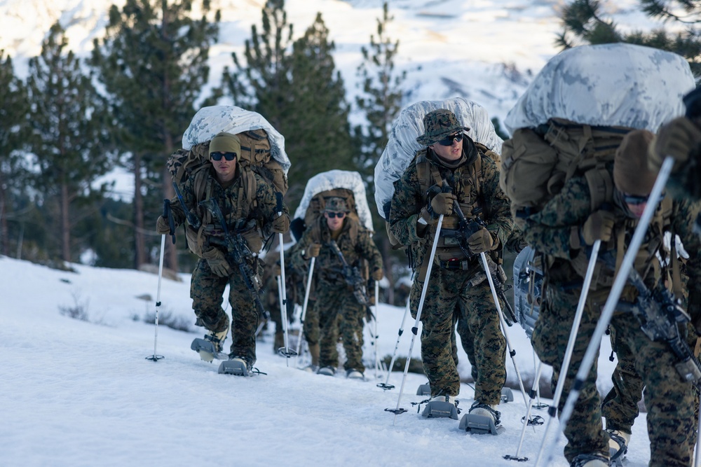 U.S. Marines with 2nd Bn., 4th Marines conduct an ambush during MTX 1-26