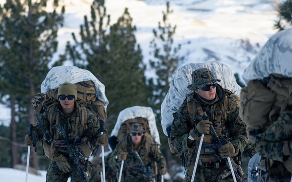 U.S. Marines with 2nd Bn., 4th Marines conduct an ambush during MTX 1-26