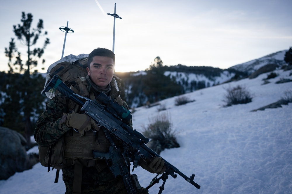 U.S. Marines with 2nd Bn., 4th Marines conduct an ambush during MTX 1-26