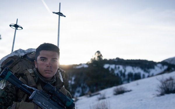 U.S. Marines with 2nd Bn., 4th Marines conduct an ambush during MTX 1-26