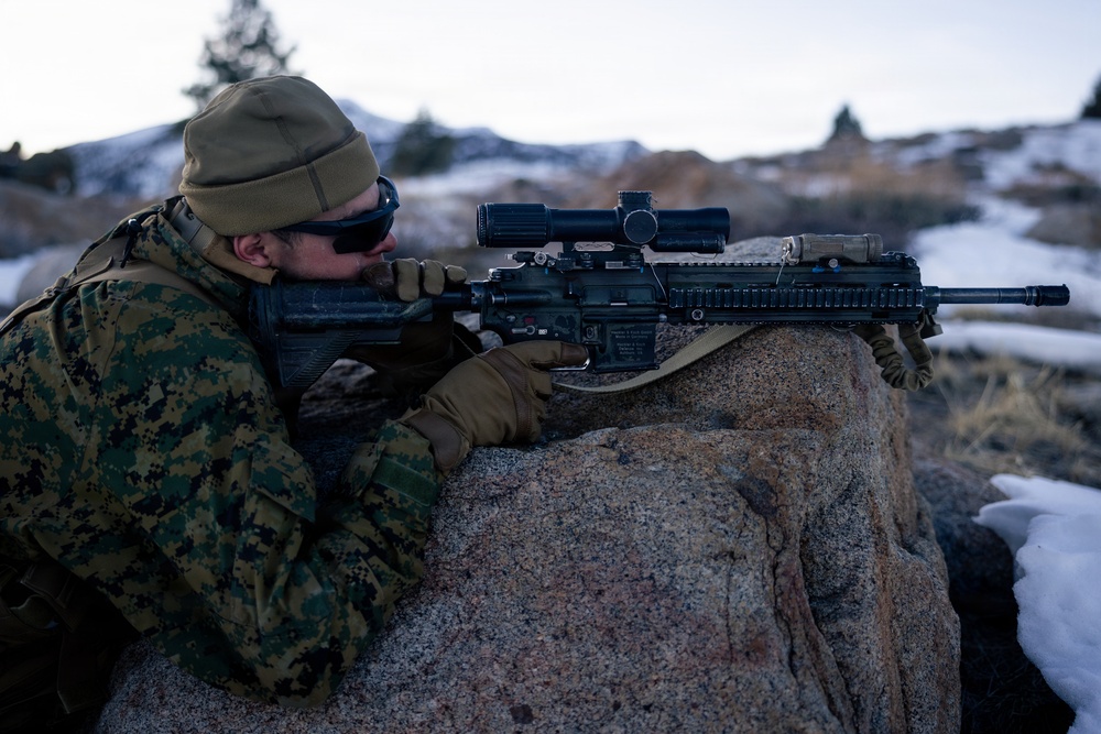 U.S. Marines with 2nd Bn., 4th Marines conduct an ambush during MTX 1-26