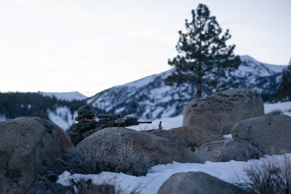 U.S. Marines with 2nd Bn., 4th Marines conduct an ambush during MTX 1-26