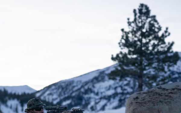 U.S. Marines with 2nd Bn., 4th Marines conduct an ambush during MTX 1-26