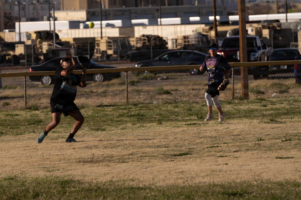 Torch Week's Softball Championship