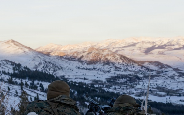U.S. Marines with 2nd Bn., 4th Marines conduct an ambush during MTX 1-26